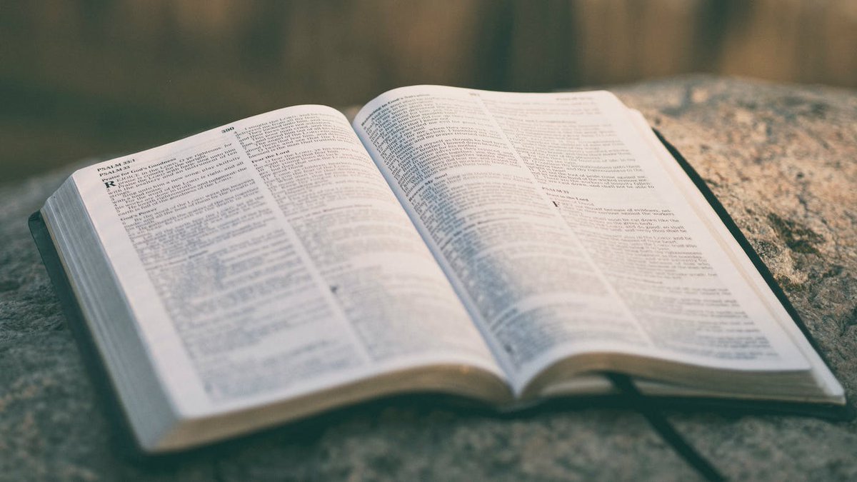 DannyD21100's tweet photo. Sunday whispers to us: 'Hold onto your moral values tightly, for they will be your guiding light through life's challenges.' Let's keep our hearts pure, our intentions noble, and our actions aligned with God's plan. #SundayWisdom #AlignWithGodsPlan #EmbracePurity" https://t.co/dtFj5sRlrh