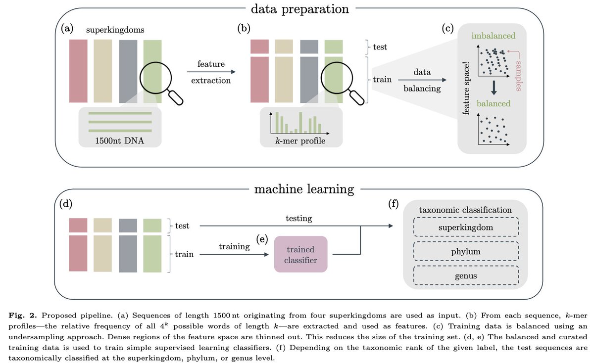Improving Taxonomic Classification with Feature Space Balancing by Wolfgang Fuhl, Susanne Zabel &amp; <a href="/Kay_Bioinfo/">Kay Nieselt</a> doi.org/10.1093/bioadv…