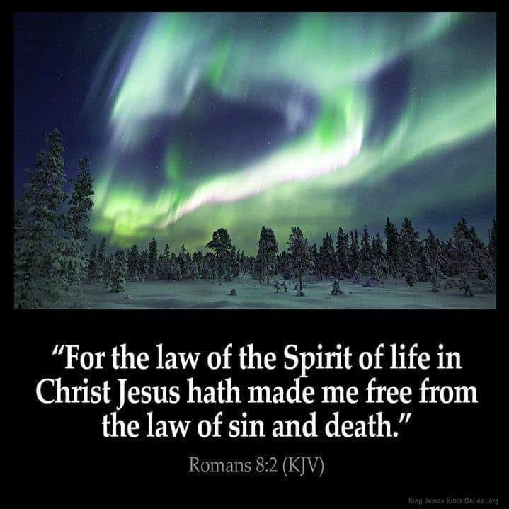 intherockofGod's tweet photo. #OSAS, #BelieveTheGospelPlusNothing, #GraceAbounding
Rom 8:31  What shall we then say to these things? If God be for us, who can be against us? 

Rom 8:33  Who shall lay any thing to the charge of God's elect? It is God that justifieth. https://t.co/4TEc1fV9Zs