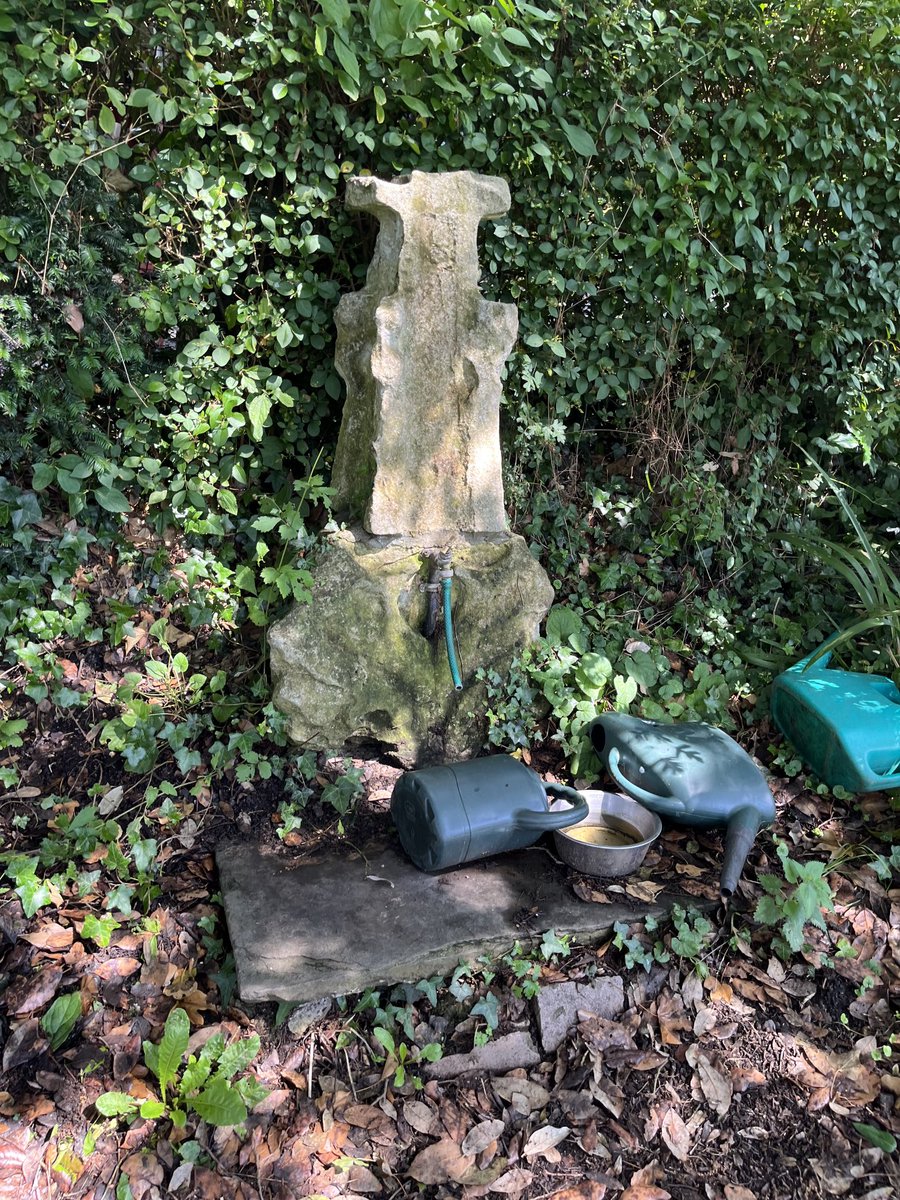 Barb_Drummond's tweet image. waste not! #churchcrawling #pinnacles