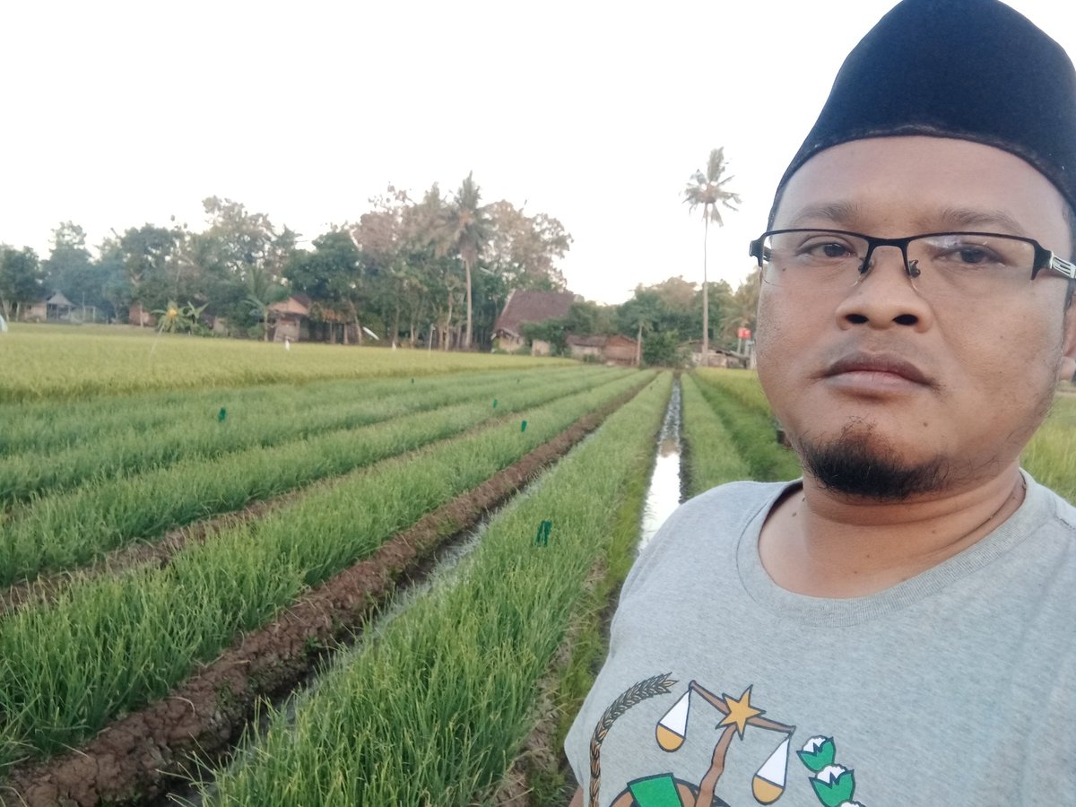 trie_hary's tweet photo. Monitoring program Lumbung pangan komoditas bawang merah Sleman (moyudan, minggir dan mlati), Alhamdulillah semoga petani semakin sejahtera. https://t.co/IfFXJ41lnP