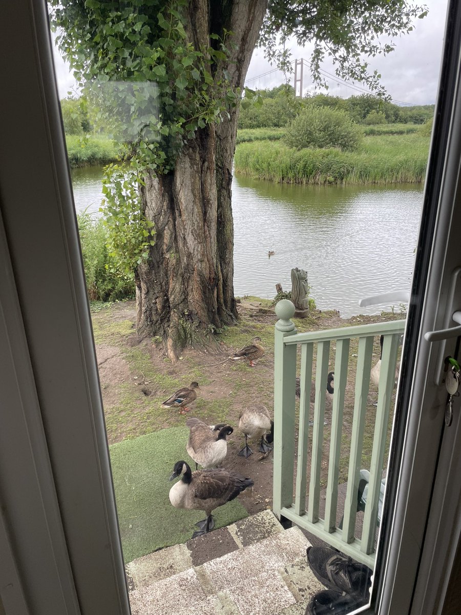 Marshlands Lakeside Nature Retreat tweet media