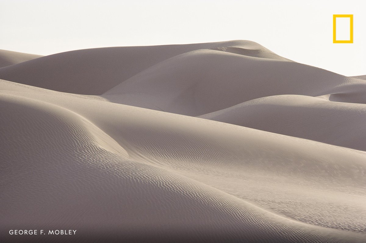 Several sand dunes appear to rise consecutively like giant waves, their surfaces unblemished except for the ripples that are created by the wind in the Imperial Sand Dunes, California