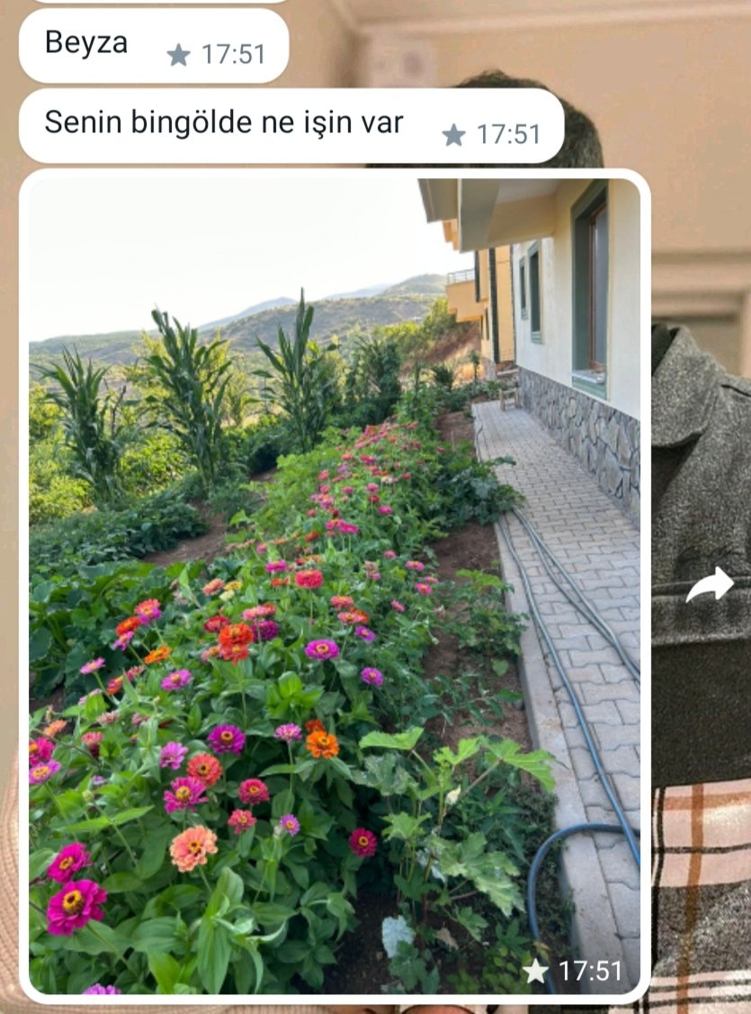 beyzays__'s tweet photo. Şu mesajın güzelliğii pekiii🥰❤️ https://t.co/sCqyFWHbYg