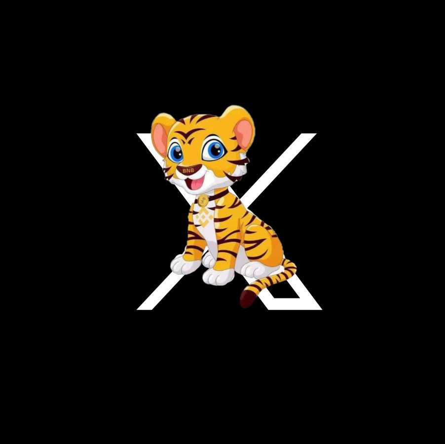 BNB “ X ” Tiger = #BNBTiger 🐅
