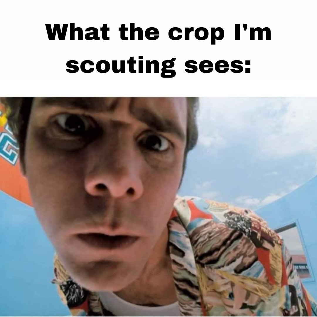 a1agronomy's tweet photo. What flattering angles they get to see! ๐
#agmeme #agronomymeme https://t.co/DEJpXBXJOi