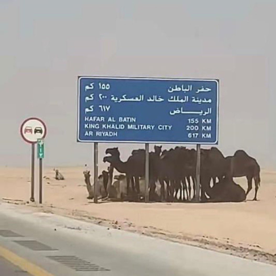 يالله ترحمنا وتلطف بالاحوال
الجو حر ولاهب القيض صمّل

واللي من اول بالصبر مضرب امثال
اليوم صار بظل لوحه .. يتظلل  .