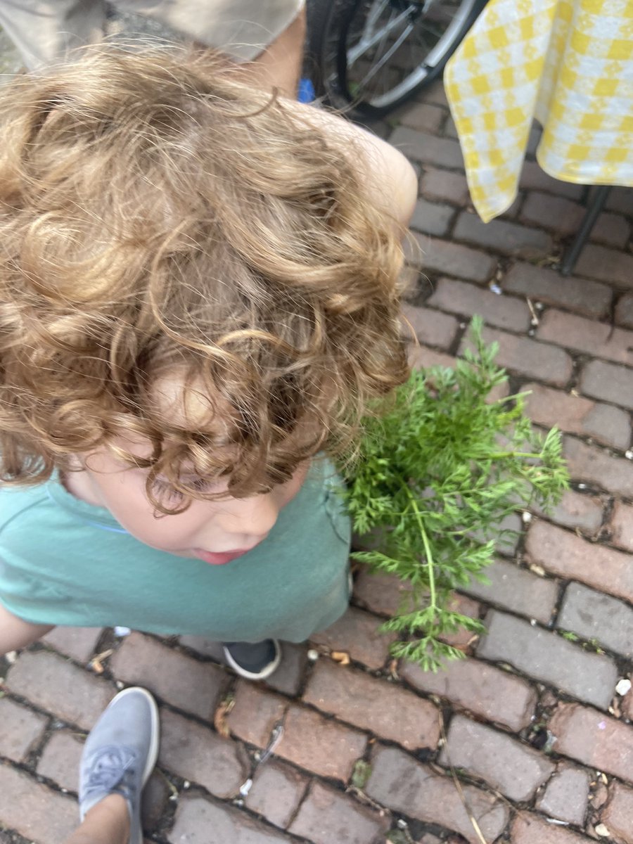 sophp's tweet photo. Farmers market Sunday!!! https://t.co/zwAPEb4dqV