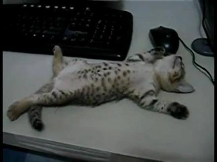 oyy kuzummm..sende mi baydın bu sıcakta..iyi akşamlar😊😊