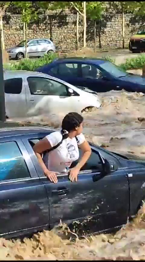 Katharine Ainger tweet media