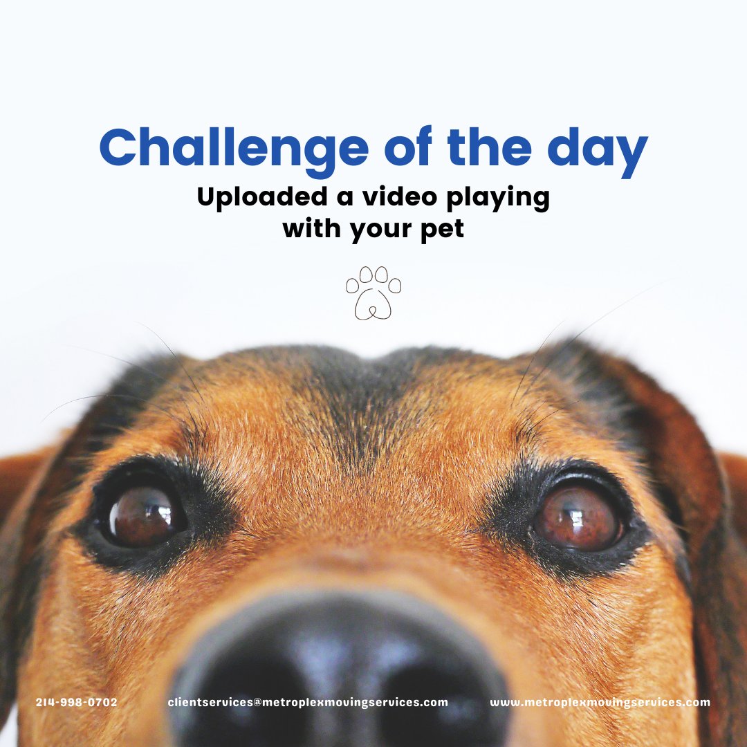 MetroplexMoving's tweet photo. Capture a heartwarming moment with your beloved pet and share a video of you playing together. Spread the joy and warmth of the special bond you share with your furry friend. 
.
 #petsofinstagram #doglover #catlover #doglovers #petlovers #instapet #petlover #catloversclub https://t.co/tdxfF7cpXu