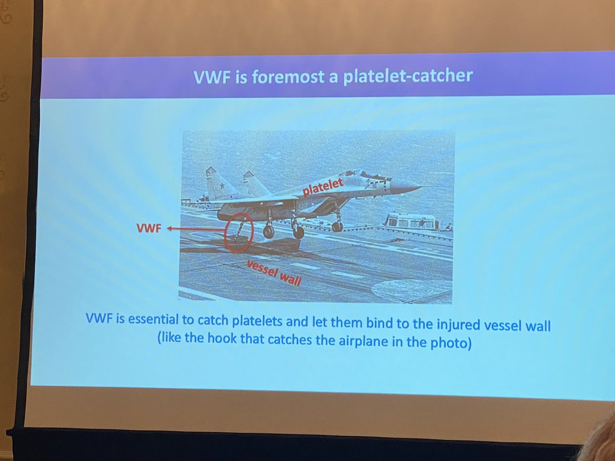 sbndugan's tweet photo. #VWF catching a landing #platelet jet? 🧬🩸✈️ Metaphors are key tools for a #geneticcounselor and @LentingPeter offers a brilliant one. 🌟#hematologyGCs take note!☝️#VWDConnect2023 @hannahhelberGC @JuliPerezBot @malecly @klbergst @KristinPNunez @ConnectVwd https://t.co/VoJbwPxFJJ