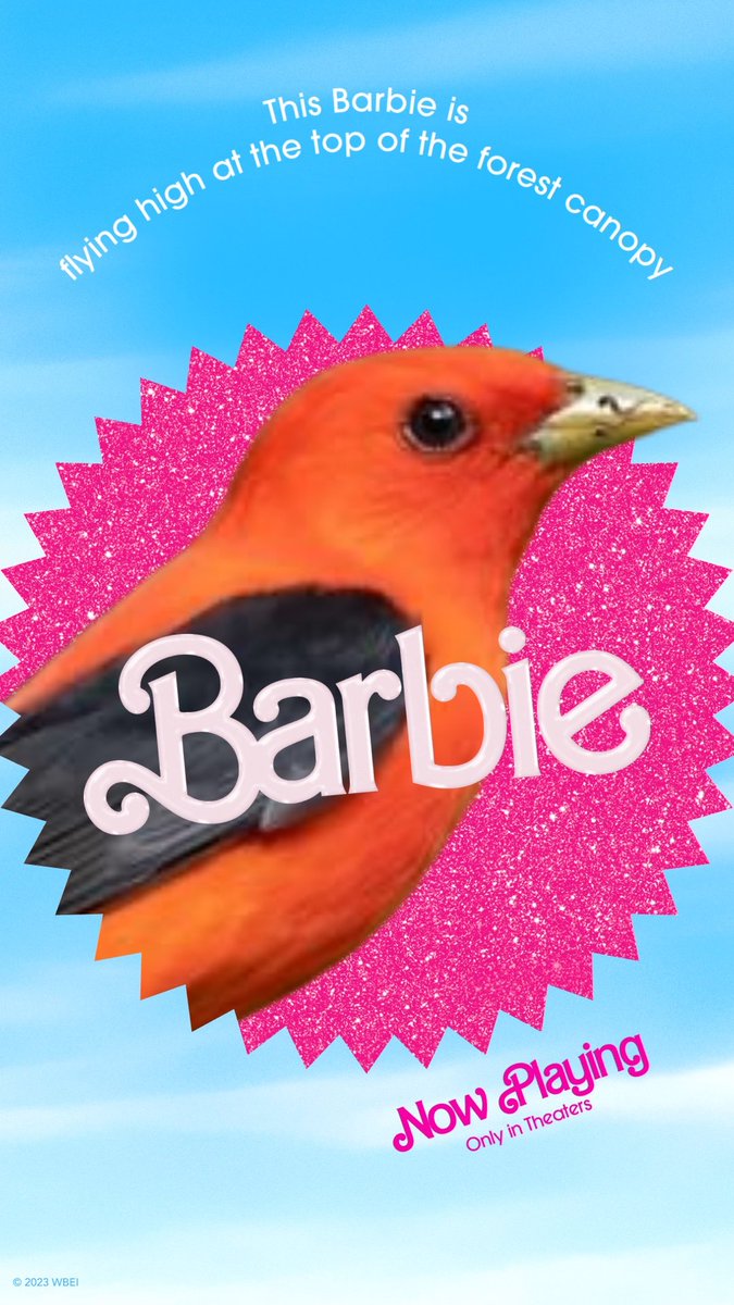 RIP to my neck the day after birding for scarlet tanagers #IYKYK