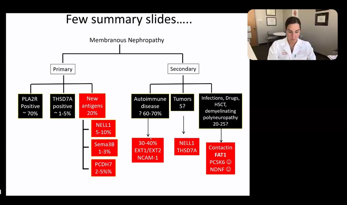Ironken6's tweet photo. Membranous nephropathy is ever-changing!
@SethiRenalPath @GlomCon 

🧫Discovery of antigen 
2009- PLA2R
2014- THSD7A
🔬With microdissection and mass spectrometry:
EXT1/2 - Lupus
NELL1 - Many faces
Sema3b - paediatric
PCDH7 - autoimmune
FAT1 - HSCT
NDNF - syphilis
PCSK6 - NSAIDS https://t.co/vIyal2yRCa