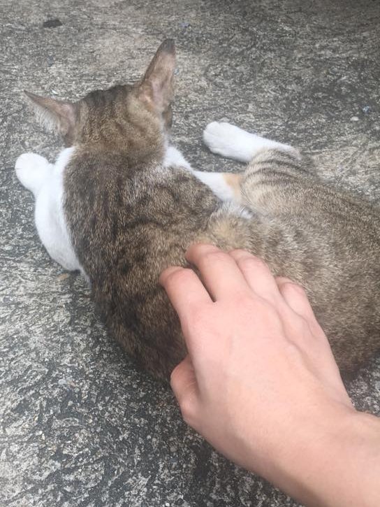 şışşştttt uyansana kız😊😊