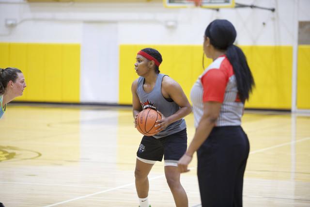 Flint Lady Monarchs tweet media