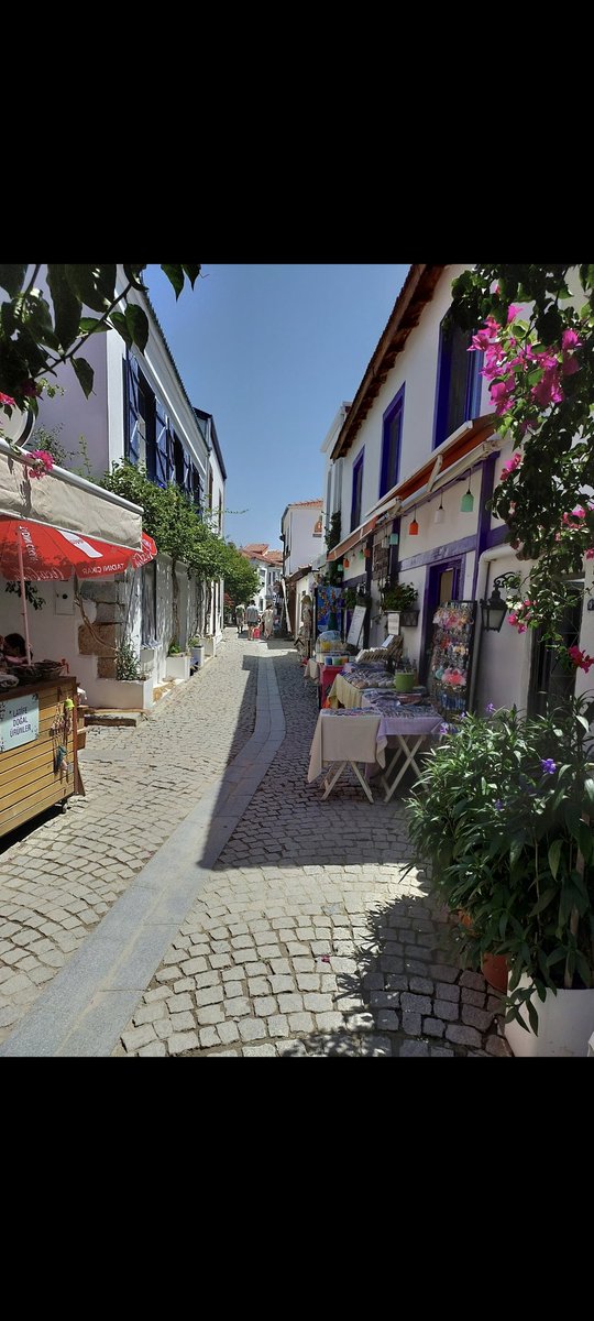 mucahitbasarir's tweet image. "Vaktiyle ait olmayanlar,Haliyle ait olmaya zaman bulamazlar."
 
-m.M.RaSKaLNiKovV-
#sığacık
#Kanyaşotu
#Ayrıkotu
@otdergisiii 
#Dostoyevski 
#Tolstoy
#Bukowski
#Puşkin 
#Gorki 
#Çaykovski
#Brodsky
#Çehov
#Jukovski
#Gogol
#Gonçarov
#Şevçenko
#CemilMeriç
#HalilCibran
#georgeorwell