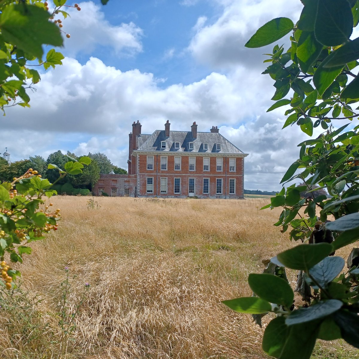 StartLicensing's tweet photo. Well done @nationaltrust @southeastNT #uppark - like the way you have let the meadow near the house grow naturally. Saw lots of bees & butterflies on our stroll this morning.
#nationaltrust https://t.co/o0PoxGAahs