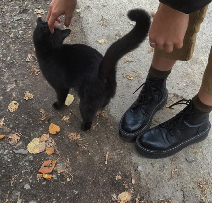 myataneba's tweet photo. #2min ау в котором Чонин уже устал наблюдать за тем, как его влюблённые друг в друга хёны продолжают играть врагов https://t.co/YC6d8ESlbC