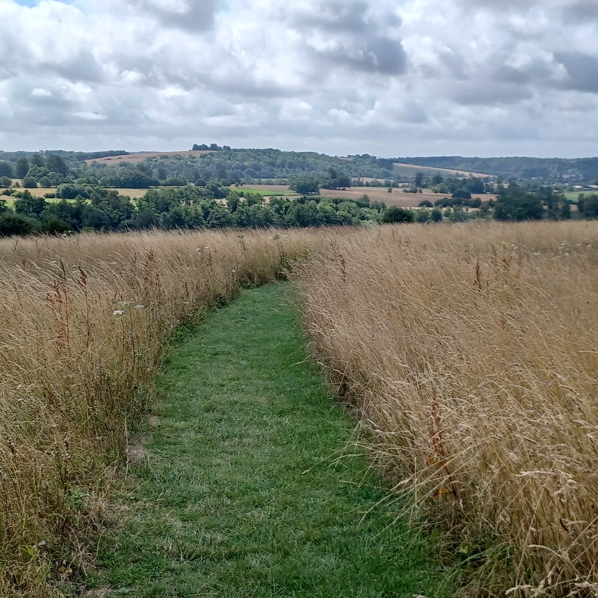 StartLicensing's tweet photo. Well done @nationaltrust @southeastNT #uppark - like the way you have let the meadow near the house grow naturally. Saw lots of bees & butterflies on our stroll this morning.
#nationaltrust https://t.co/o0PoxGAahs