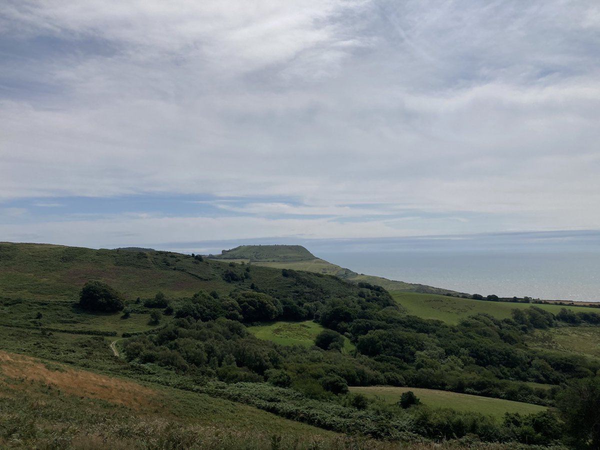 Jake Birkett - Veteran Indie tweet media