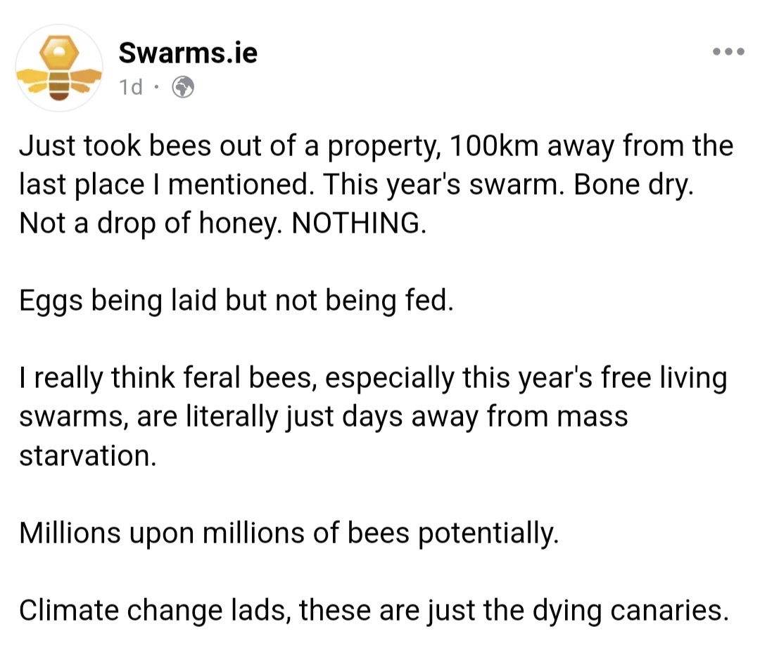 maireaddoherty's tweet photo. Very worrying observation from https://t.co/x9crMI9enK. It's a tough summer for pollinators with this prolonged rain. Beekeepers can feed their colonies but wild honeybees and other pollinators have nobody to intervene. #ClimateChange problems are already here https://t.co/BxjTtFFJLx