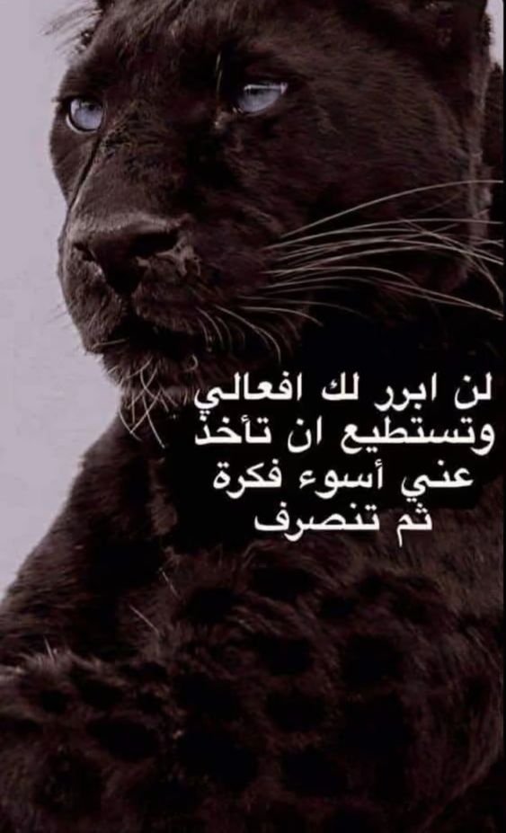 atef abughanam (@ghannamarafat) on Twitter photo 