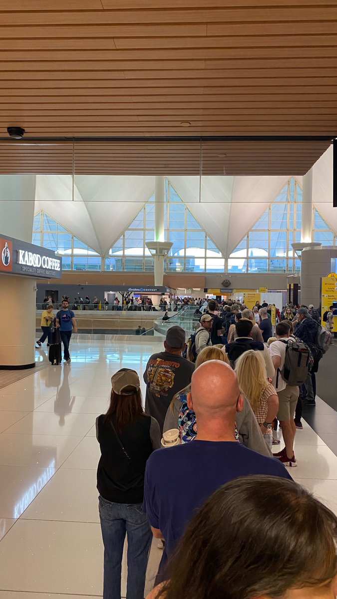 chiefcll tweet media