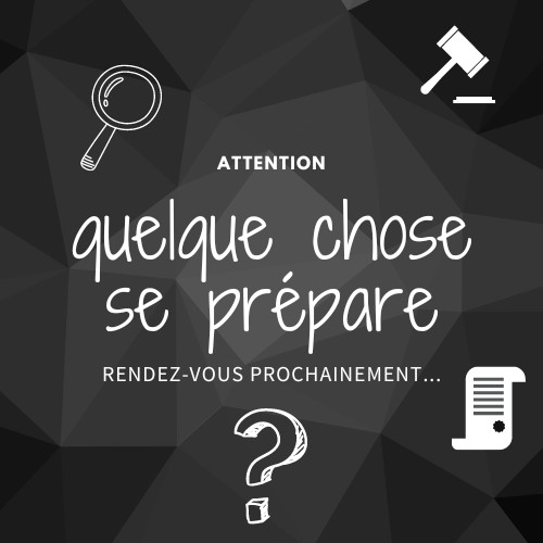 Piingouin. tweet media