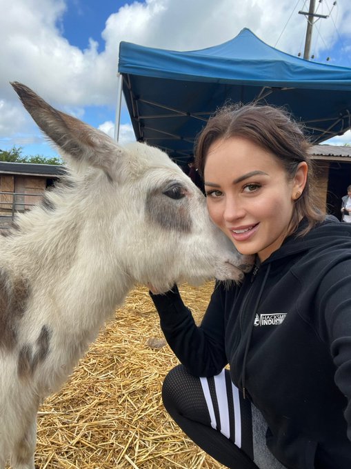 Went to a petting farm with some friends, this was taken before Vivi gave me a love bite 😂 https://t