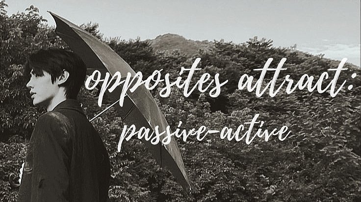 opposites attract: passive-active

—sunghoon local au
©lilybythevaley
