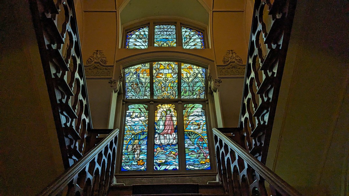 Vera Wandelt tweet media