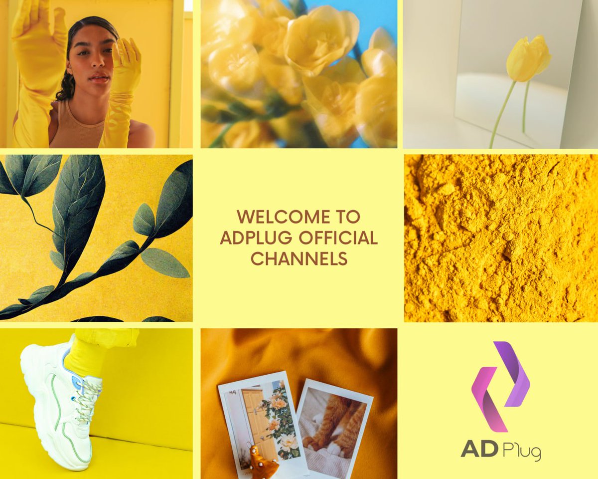 ADPlug Official tweet media