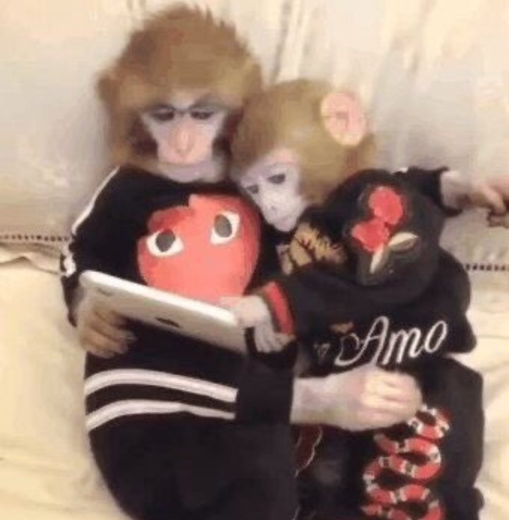 la vida me pide mucho y yo solo quiero estar así