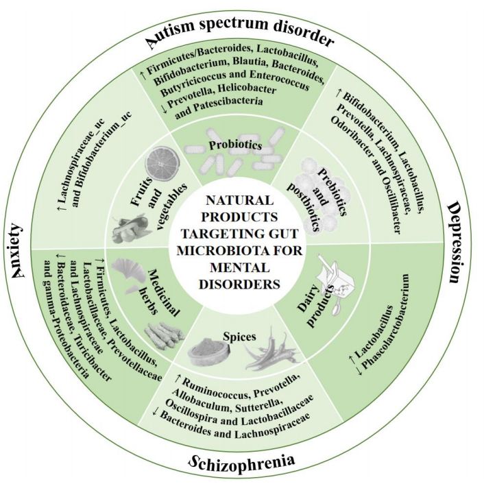 The Role of Gut Microbiota in Anxiety, Depression, & Other Mental Disorders as Well as the Protective Effects of Dietary Components mdpi.com/2072-6643/15/1… @ToshiyukiHorie @dronita_de @IberianCitizen @EwingT_PhD @JuhanaHarju The effects of natural products on mental disorders