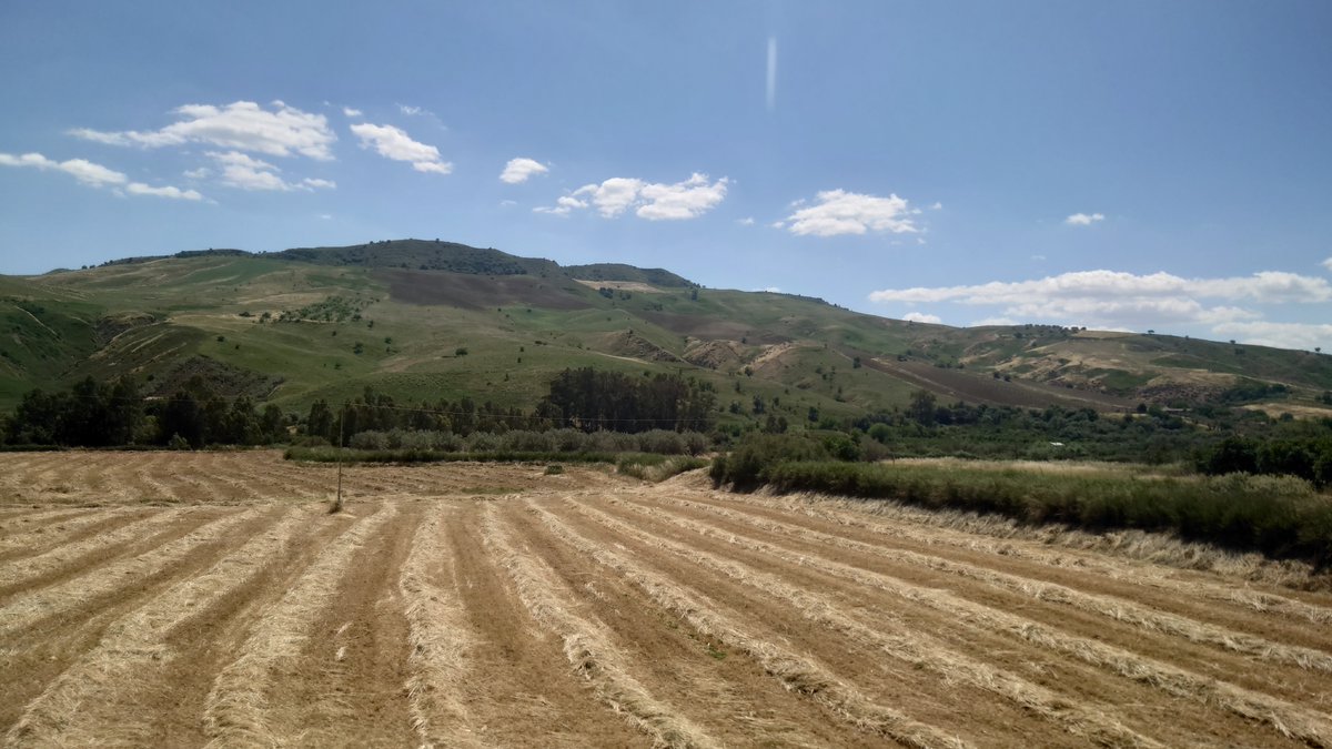 ItalyWith's tweet photo. Leonforte, Italy 🇮🇹
#tft #goodmorning #italy #buongiorno #italia #thephotohour #leonforte #sicily #sicilia #photography #landscapes #stormhour #landscapelovers #landscapephotography https://t.co/dDI2EniIuD