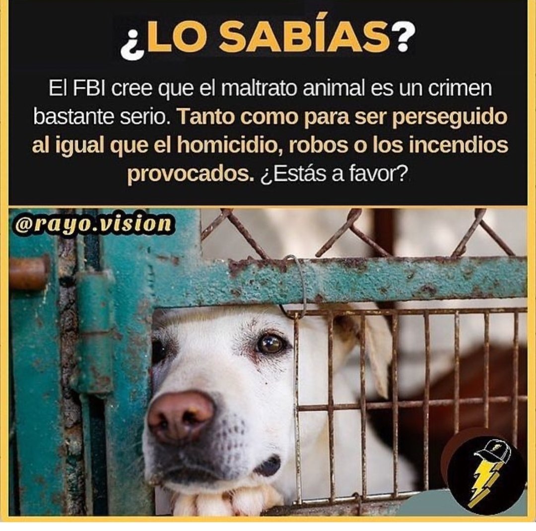 #AFavor #NoMasMaltratoAnimal