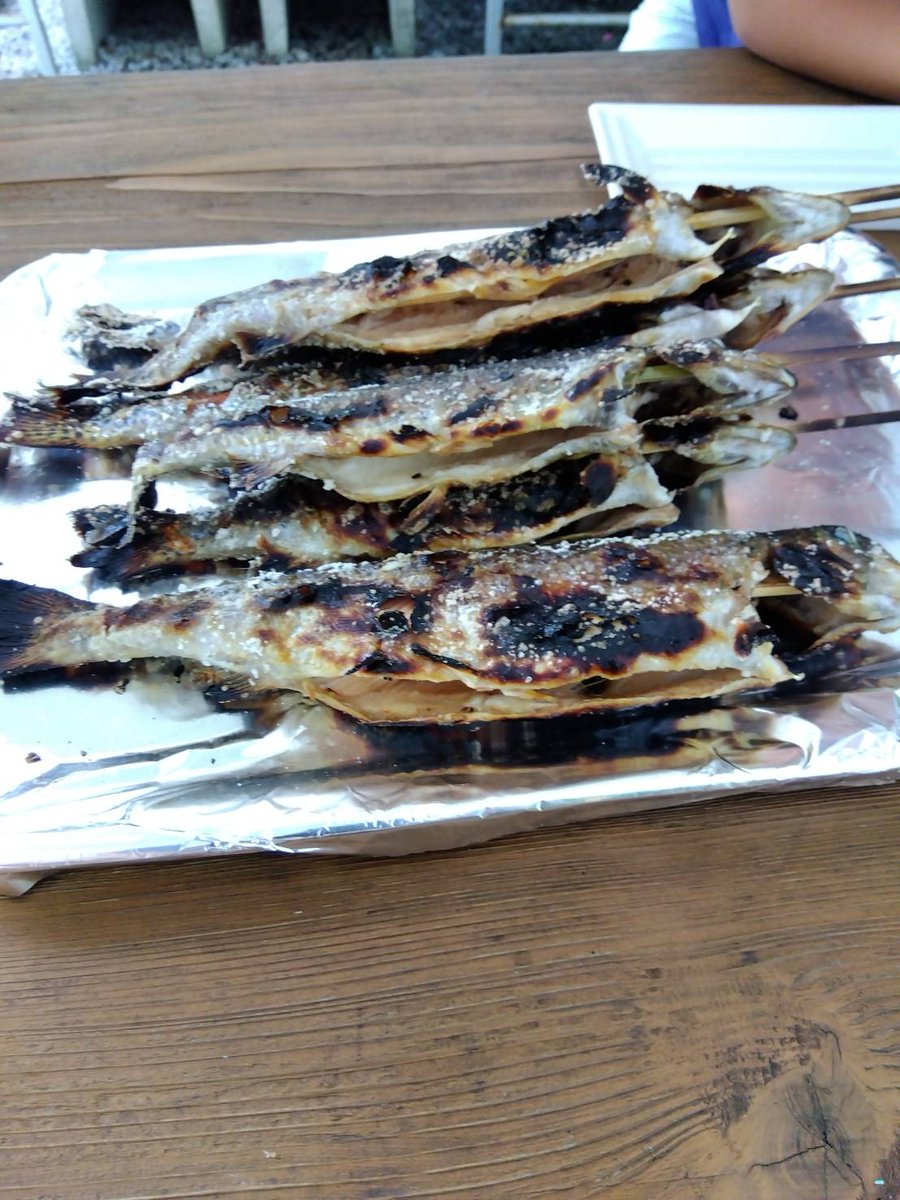 昨日のひこにゃん😸
今日のマス釣り体験🐟
満足満腹