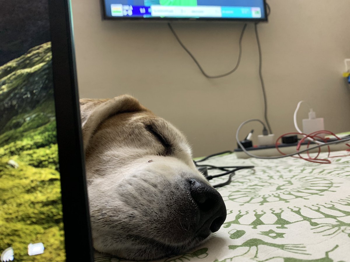 debayansen's tweet photo. Inspirational shift supervisor #WorkingSundays https://t.co/aMHQAOMsgU