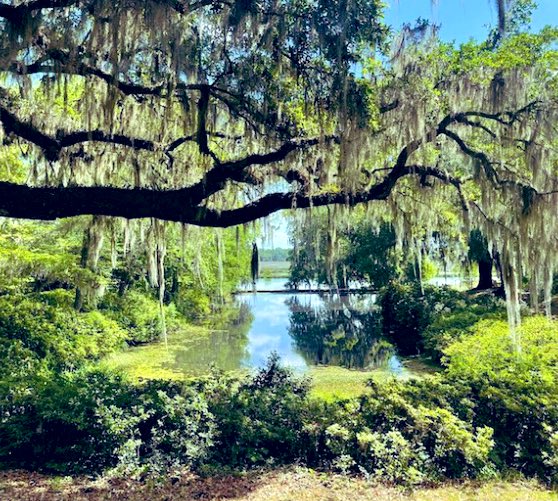 Good Morning Everyone. In life Let Love Lead. Be genuinely happy for one another. No malice, no backstabbing, and no jealousy. Stop comparing yourself to others because life is not a competition. At the end of the day none of us are getting out of here alive, so stop taking