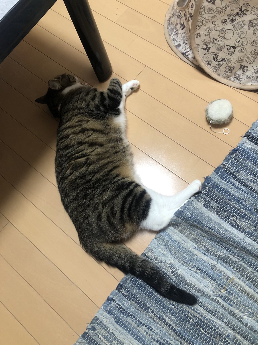 電池切れで落ちてる