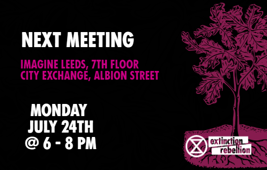 Leeds XR General Meeting Imagine Leeds, 7th Floor, City Exchange, 11 Albion Street, LS1 5ES meet2.organise.earth/rooms/ext-ptr-…