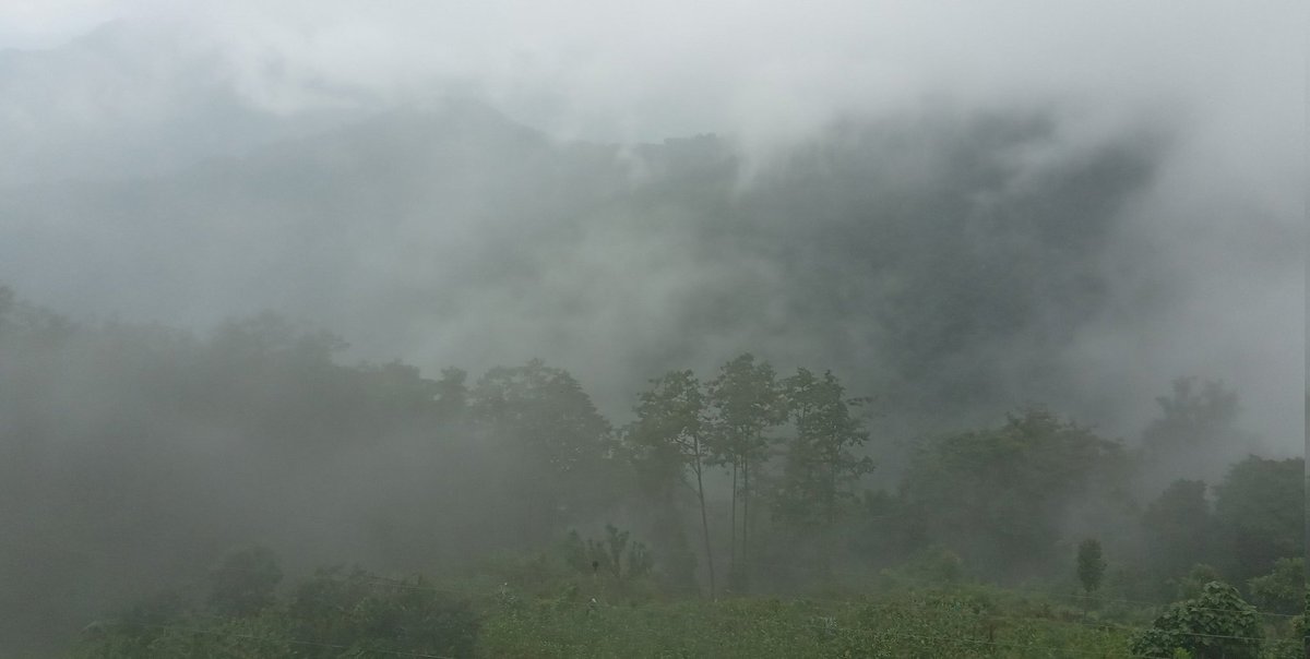 dchozomdrelsang's tweet image. All the way 
#Thirdsemester