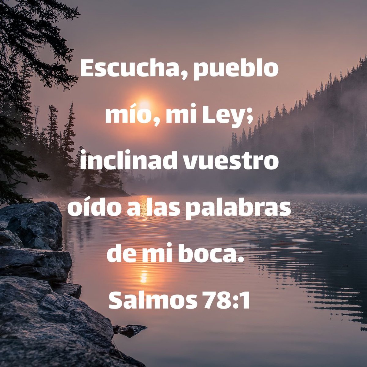 luisma0709's tweet photo. Hoy la Biblia me enseñó: Que aún en medio de mi infidelidad Dios continúa siendo fiel y, que a pesar de mis pecados me muestra su gran amor y me llama al arrepentimiento.

#ReavivadosPorSuPalabra
#SALMO78 https://t.co/x2fZE97AEh