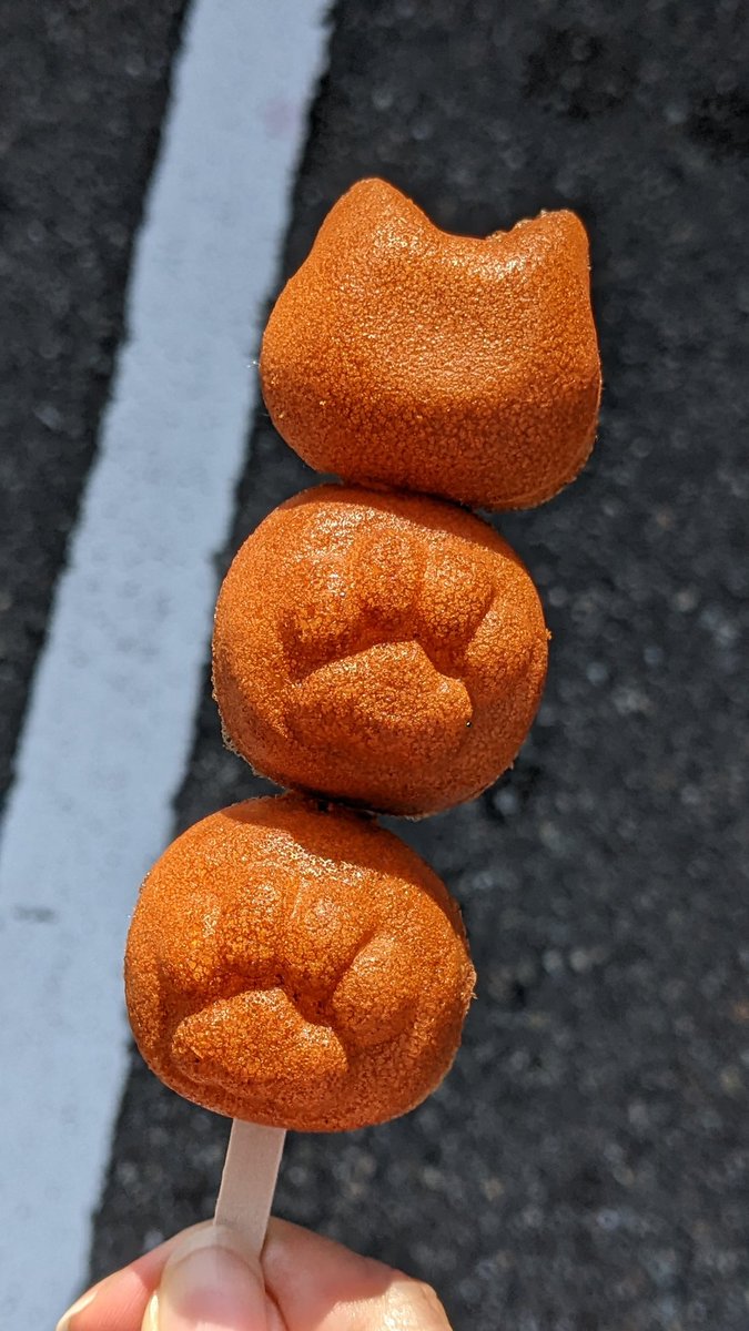 昨日思いがけず遭遇した、示野イオンのキッチンカーグランプリ！
はるまきやさんもいた〜はるまきゲット🥰

富山からきたというトコトコテッチさん、にゃんこモチーフの米粉と豆乳のカステラ焼き立ておいしかった😍
冷めてももっちりしててうま！
また金沢にも来てください☺️