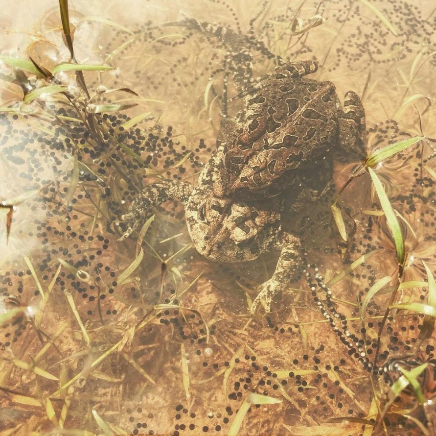 Warehouse C L E A R A N C E Event - mailchi.mp/petmountain/wh…