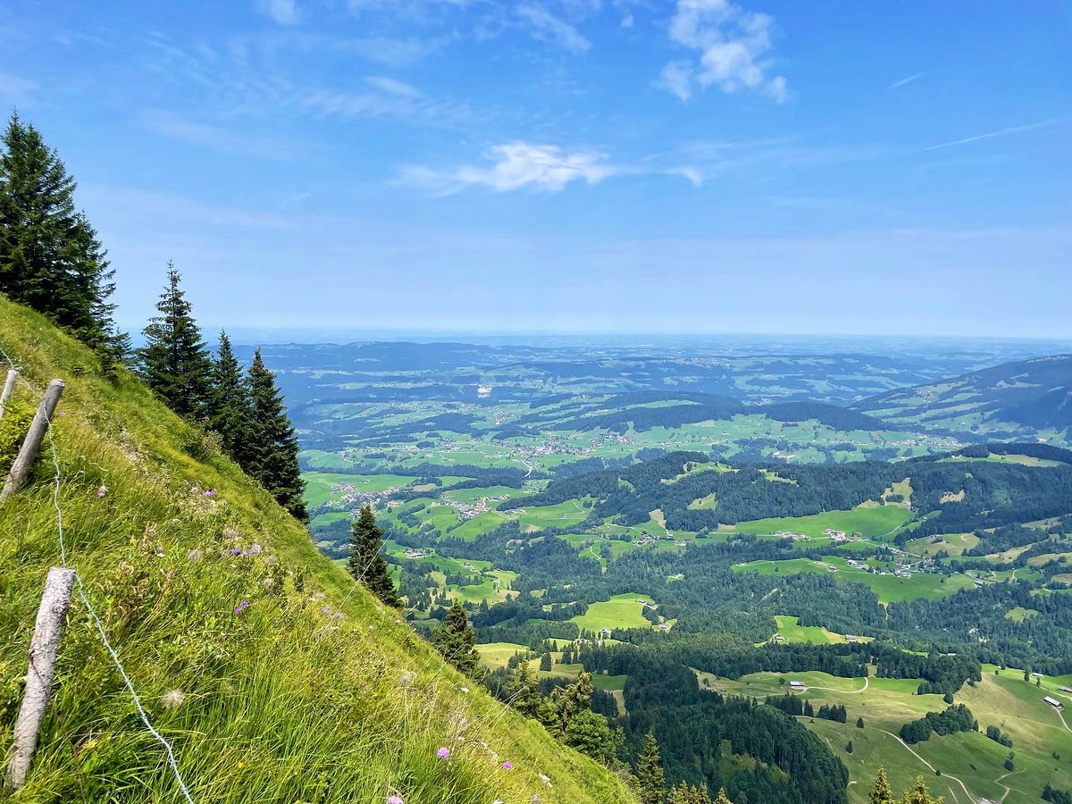 grbhr's tweet photo. Grüße von der #Niedere oberhalb von #Bezau im #Bregenzerwald. https://t.co/F0rQH84rFz