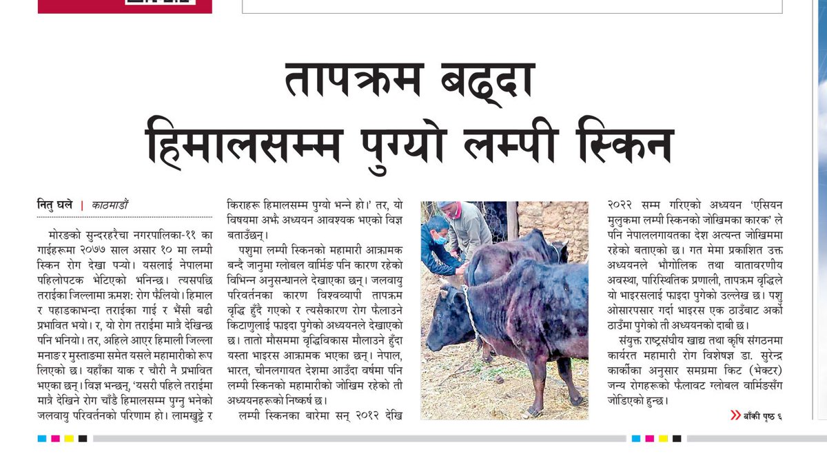 NituGhaley's tweet image. Vectors are spreading lumpy skin diseases in mountain area as well . And, the warmer climate has contributed a lot to growth vectors  in that area . 
Thank you sir @karki2037 @FAOinNepal 
#Lumpyskin
#Inmountain
#Annapurnapost 
#climateandlumpyskin