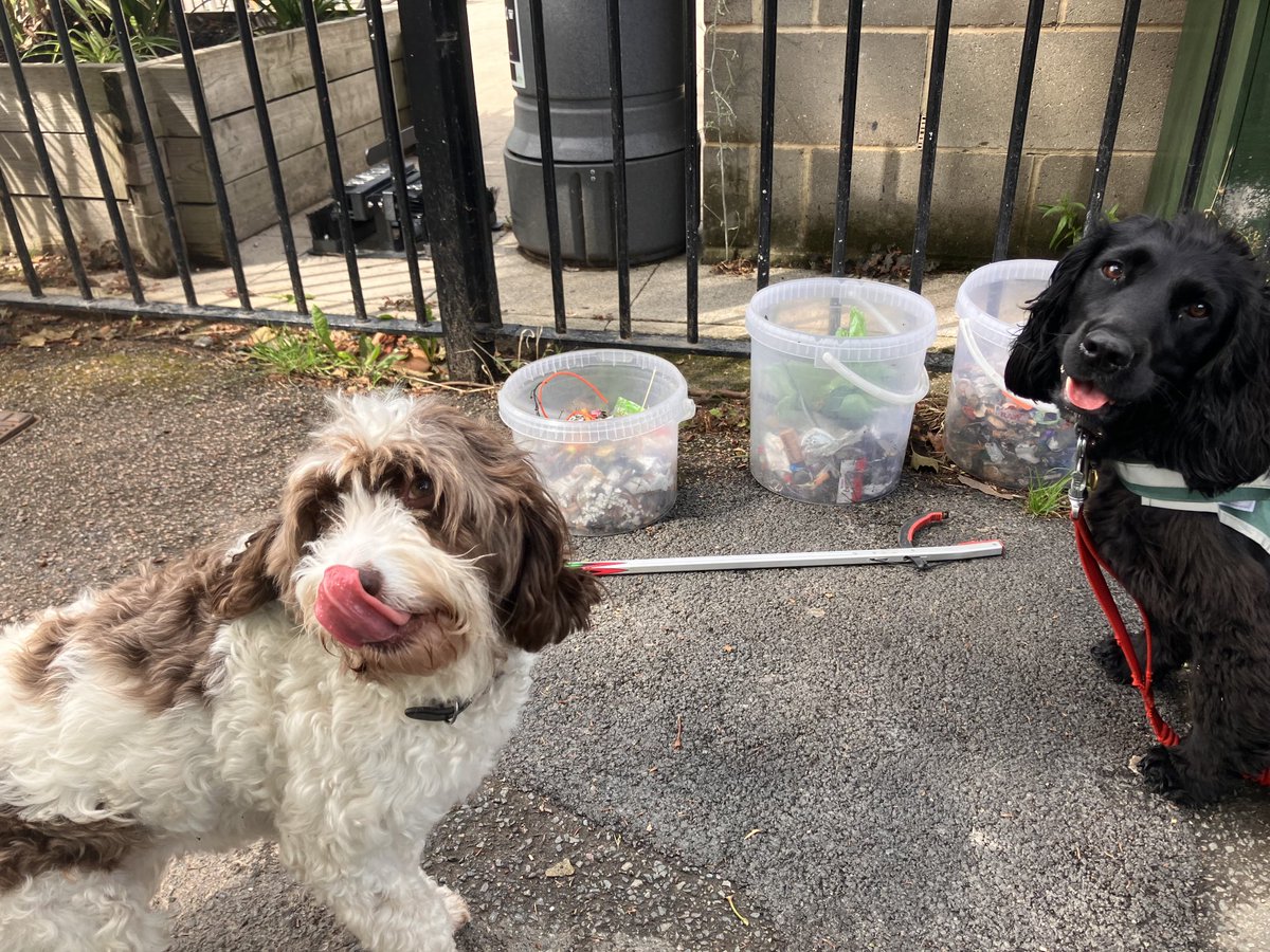Me and fren Luna haz been out doing da #litterpick again - I duzzunt smoke or drink beer but we has helped get the butts and lids cleared up so Iz nyce park for dogg and hooms large and smol #dogsoftwitter