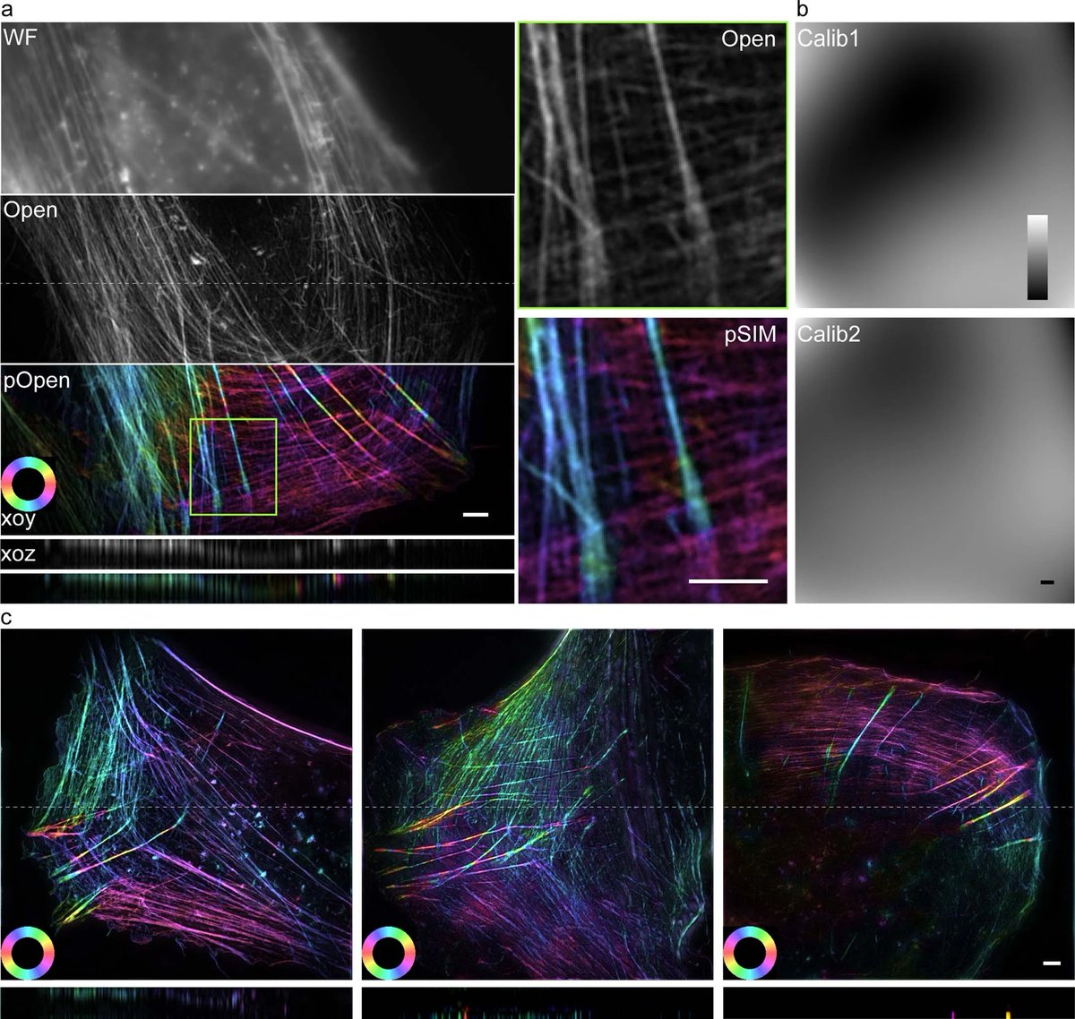 Open-3DSIM: An #OpenSource three-dimensional structured #illumination #microscopy reconstruction platform:

-available as #MATLAB code, #Fiji/#ImageJ plugin &amp; executable application

doi.org/10.1038/s41592…
#DIYbio #lab #instruments #microscope #imaging #optics #SIM #3DSIM